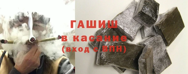 индика Осташков