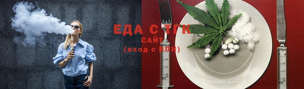индика Осташков