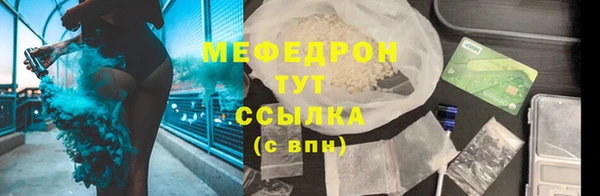 индика Осташков