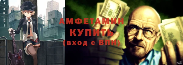 индика Осташков
