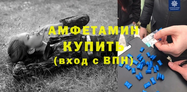 индика Осташков