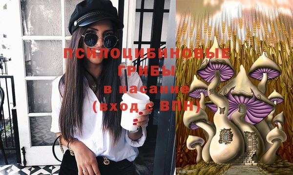 индика Осташков