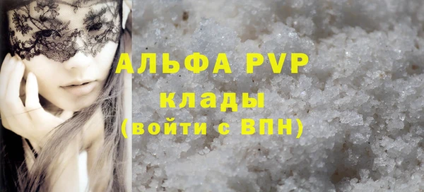 индика Осташков