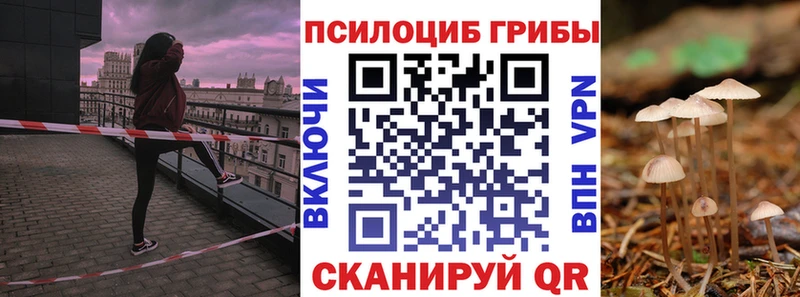 Купить где  Иннополис  Псилоцибиновые грибы Psilocybe 